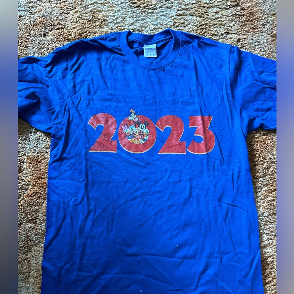 Disney 2023 shirt size medium